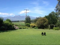 Little Acres B & B 