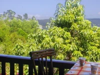 Mount Joy Cottages 