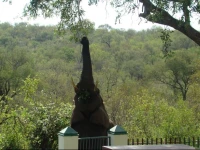 Muweti Bush Lodge 