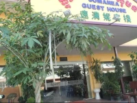 Somanea Guesthouse 