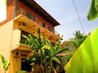 Urban Jungle Hostel 
