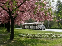 Laci Apartman 