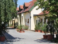 Levanda Panzio 