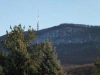 Fenyo Vendeghaz 