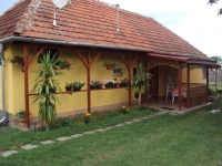 Ezustfenyo Vendeghaz 