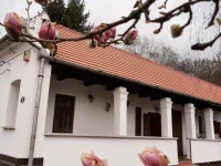 Bodza Vendeghaz - Apartmanhaz 