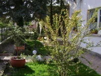 Susanna Apartment 