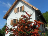 Doka House 
