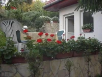 Feher Hollo Vendeghaz 