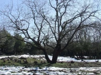 Tarnegol Haaravot Guesthouse 