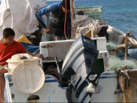 Juhas Guesthouse - Zarqa Bay