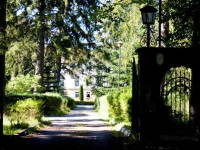 Palac w Sasinie
