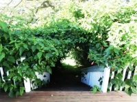 Pahala Plantation Cottages 4*