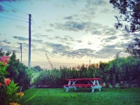 Haven Montauk 