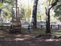 Cornerstone Cabin 