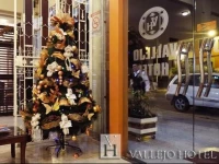 Vallejo Hotel 2*
