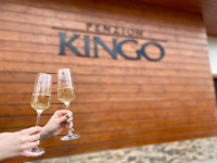 Penzion Kingo