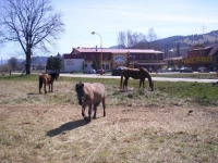 Motel Ranc 2*
