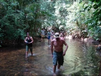 Jungle Land Panama 