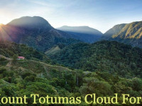 Mount Totumas Cloud Forest