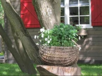 Summerhome 