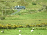 Mountainview B&B 