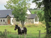 Glenview Lodge B&B 