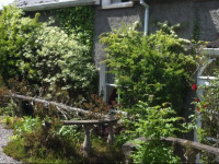 Moate House Accomodation