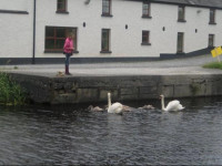 Ballycommon House
