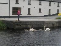 Ballycommon House 
