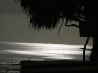Mikadi Beach Lodge 