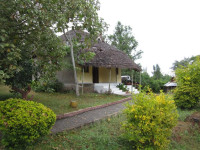 Colobus Mountain Lodge