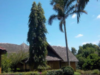 Kilimanjaro Eco Lodge