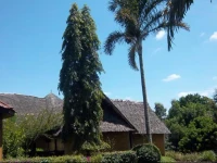 Kilimanjaro Eco Lodge 