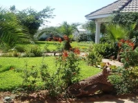 Testimony Guest House 