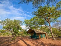 John Chase Safaris 