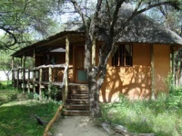 Crocodile Camp 
