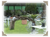 Tshimologo Farm Guest House 