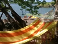Zopango Island 