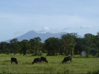 Hacienda Los Malacos Ecological Farm & Hotel