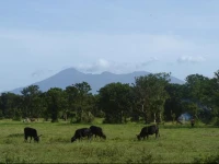 Hacienda Los Malacos Ecological Farm & Hotel 