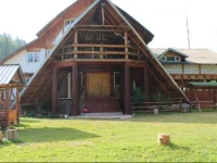 Hunter In Romania 