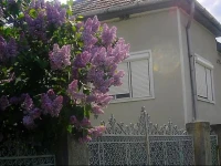 Casa Miha 