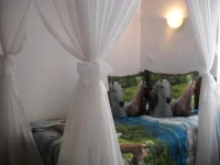 Vila Corona Predeal 