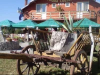 Cabana Poiana Codrului 