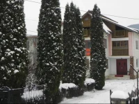 Pensiunea Algino 2*