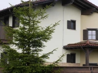 Pensiunea Alpin Belis 