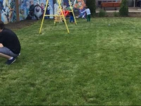 Pensiunea Family Zone 