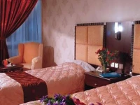 Iran Hotel 4*