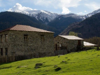 Mazeri Guest House